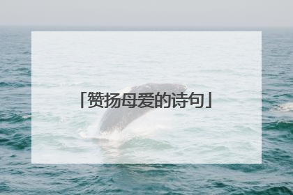 赞扬母爱的诗句