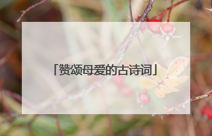 赞颂母爱的古诗词