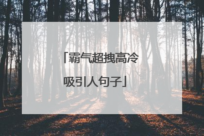 霸气超拽高冷吸引人句子