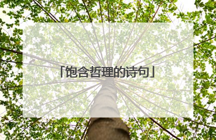 饱含哲理的诗句