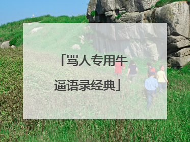骂人专用牛逼语录经典